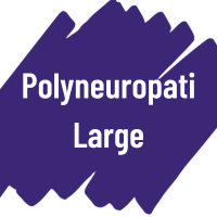 polyneuropati-large-prov-test